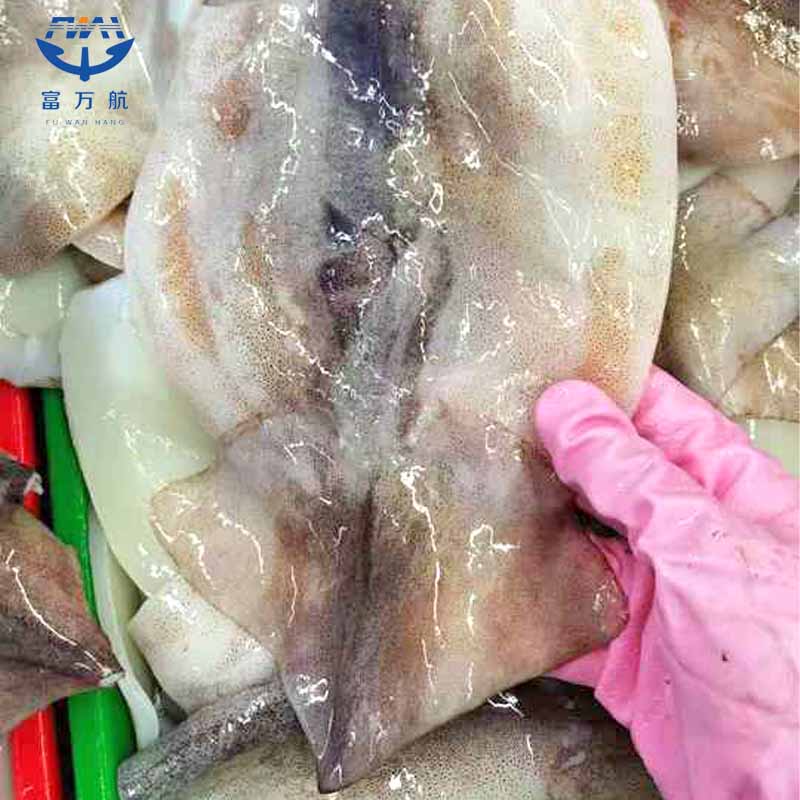 Wholesale Frozen Squid Fillet With Wing