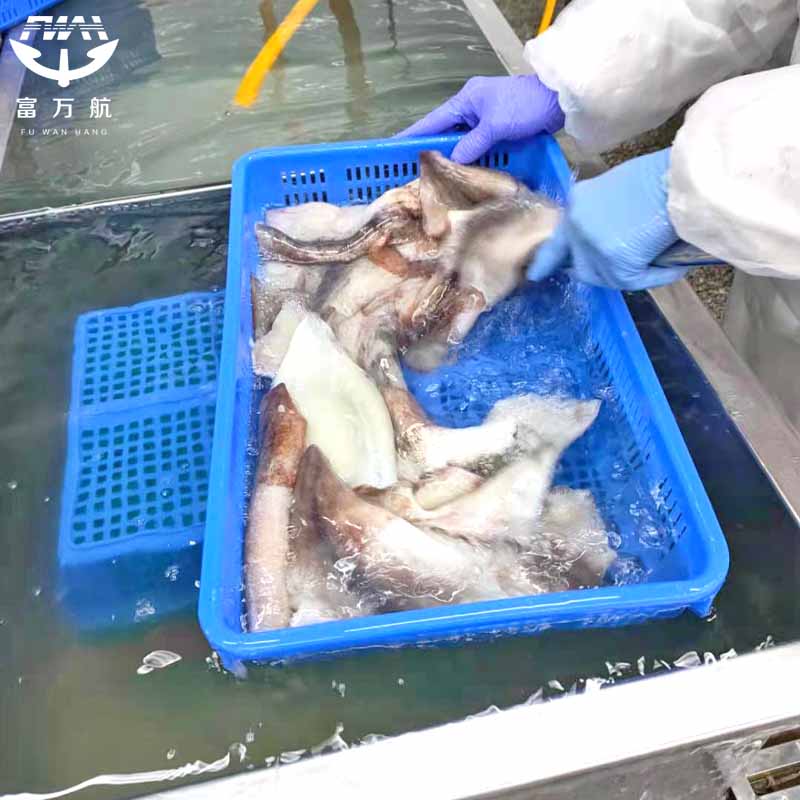 Wholesale Frozen Squid Fillet With Wing