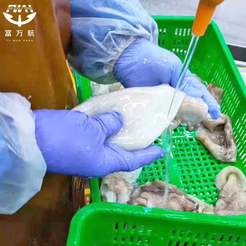 Wholesale Frozen Squid Fillet With Wing
