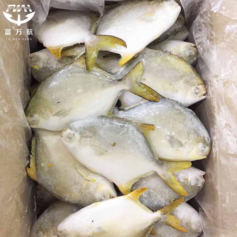 Frozen Fish Golden Pomfret Seafood