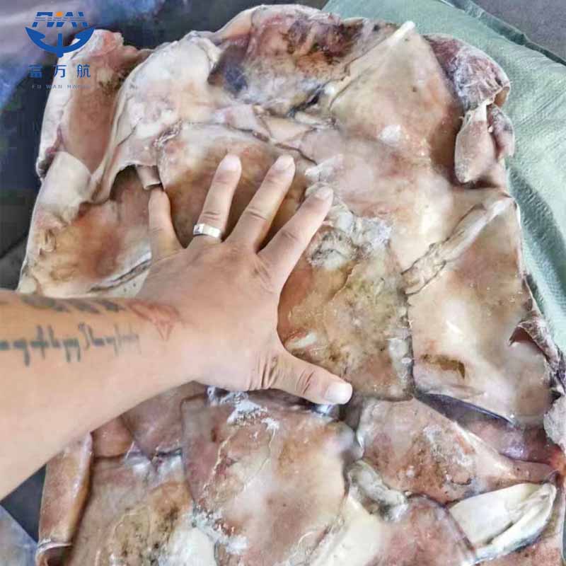 Frozen Seafood North Pacific Squid Wing