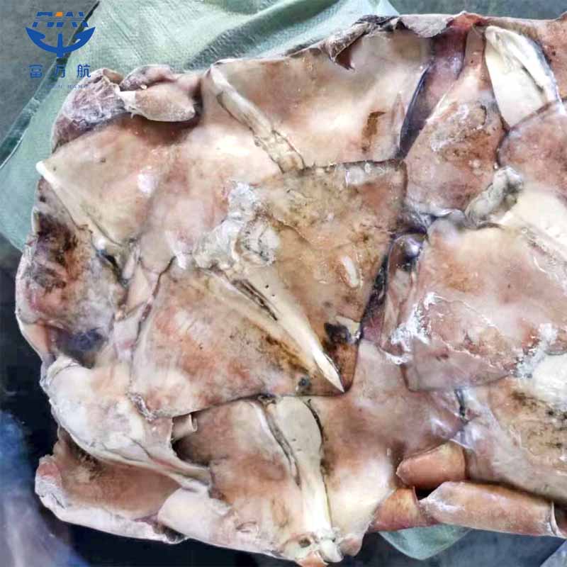 Frozen Seafood North Pacific Squid Wing