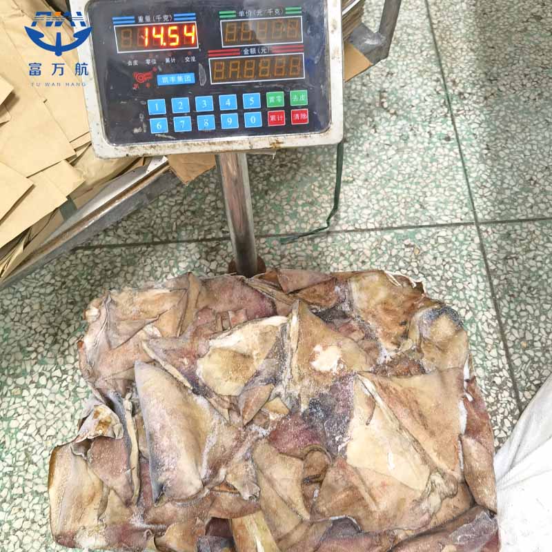 Frozen Seafood North Pacific Squid Wing