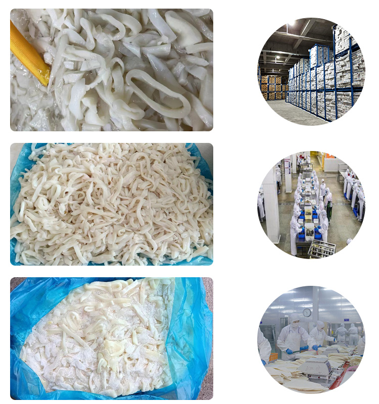 Frozen Giant Squid Meat For Sale