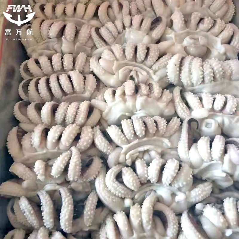 Frozen Squid Cuttlefish Tentacle