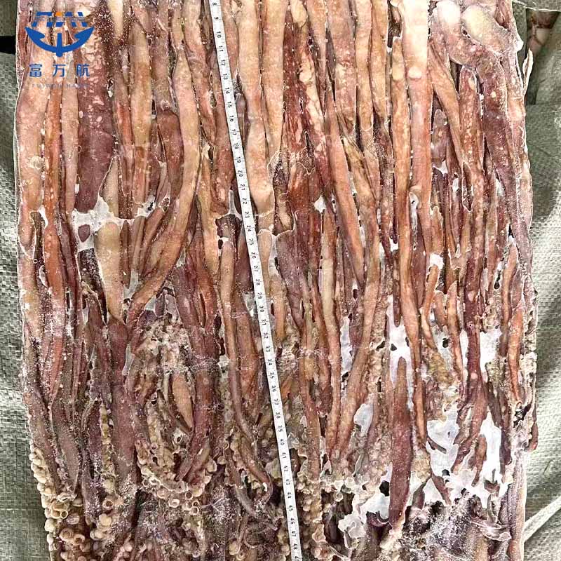Frozen Peru Squid Tentacle