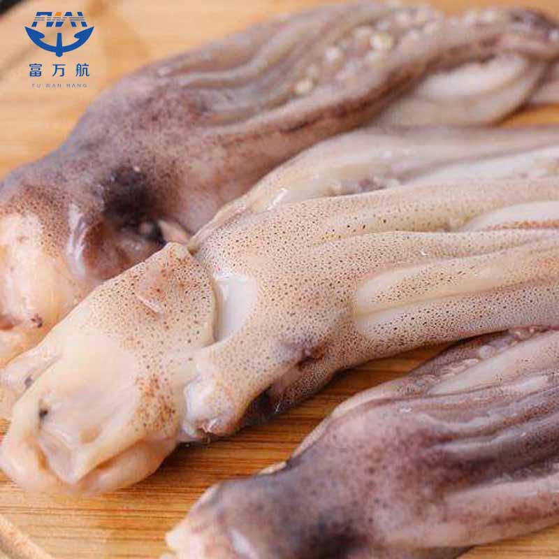 Frozen Illex Argentinus Squid Tentacle Head