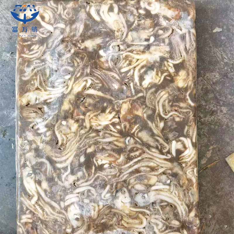Frozen Illex Argentinus Squid Tentacle Head