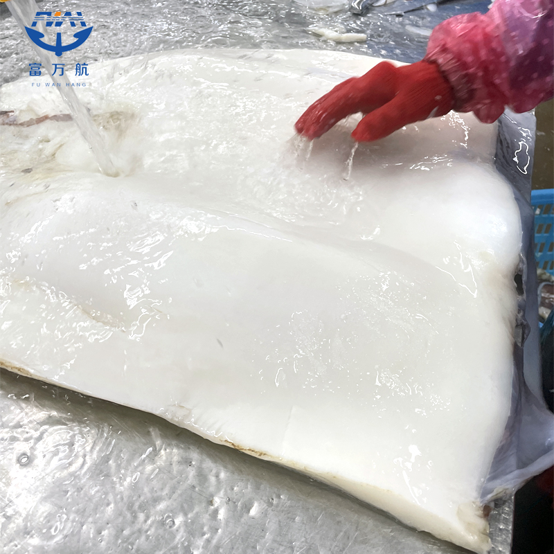 Frozen Skinless Peru Squid Fillet