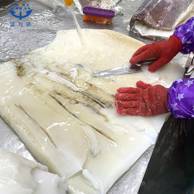 Frozen Skinless Peru Squid Fillet