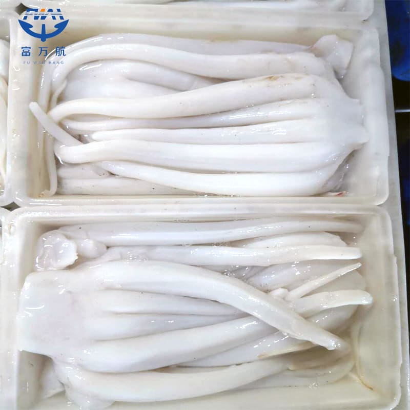 Frozen Squid Tentacle