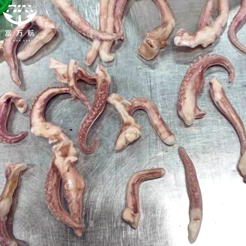 Frozen Squid Tentacle