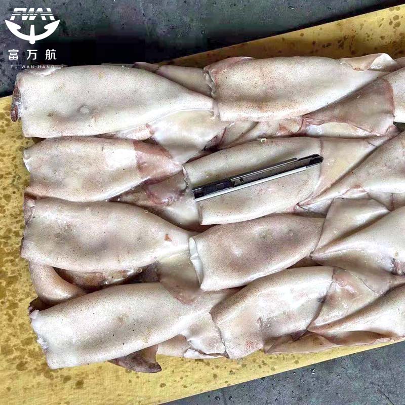 Frozen Seafood Todarodes Squid Tube