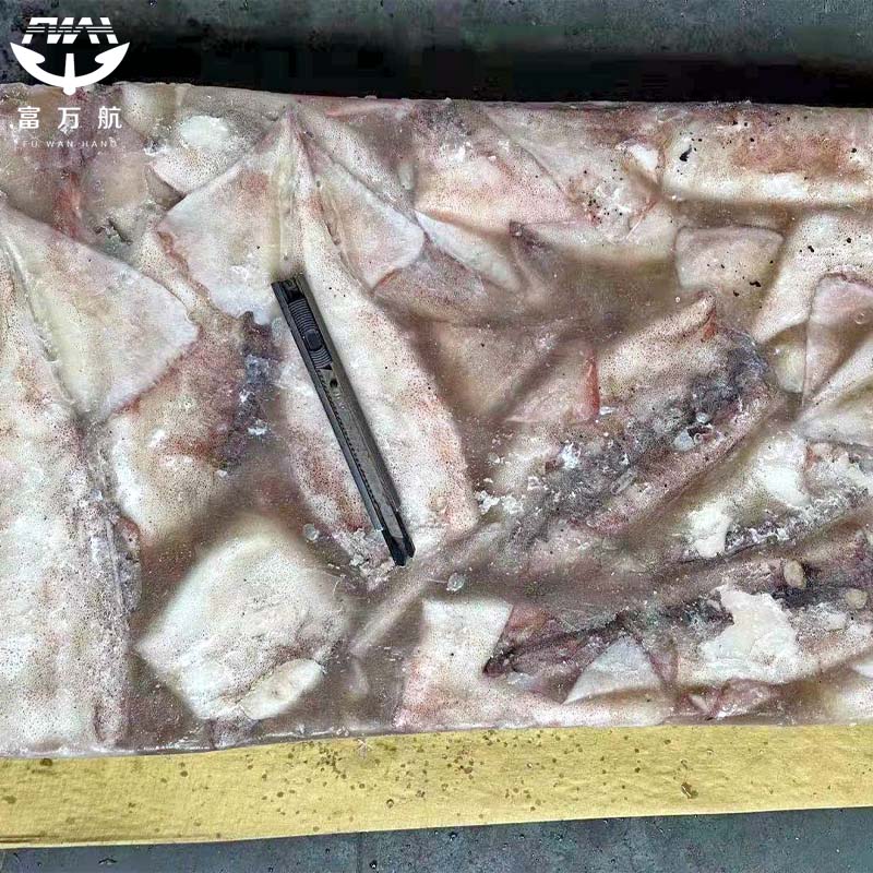 Frozen Seafood Todarodes Squid Tube