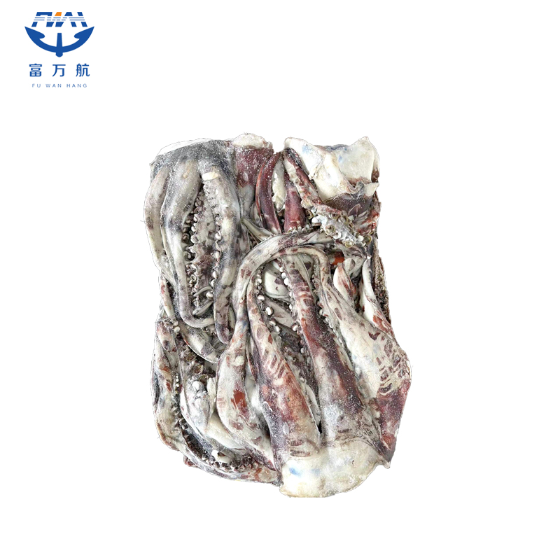 Frozen Giant Squid Tentacle