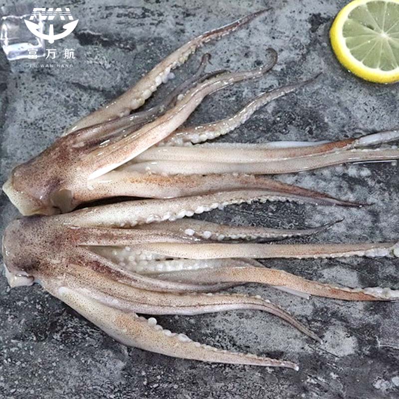 Frozen Equator Squid Tentacle