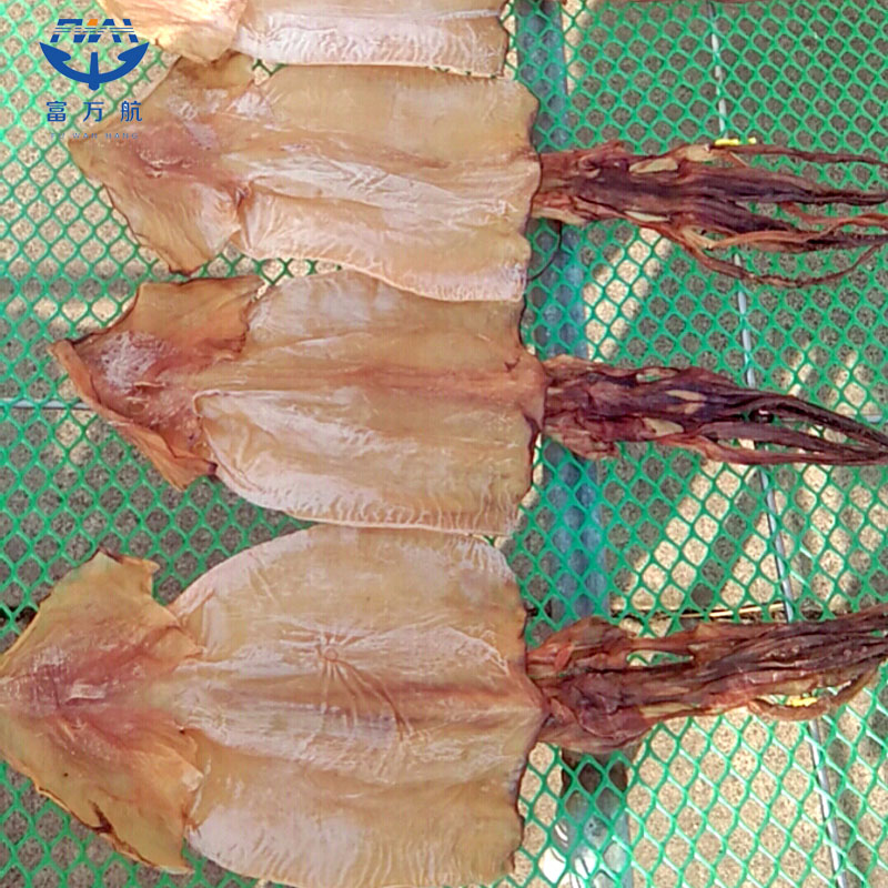 Frozen Seafood Dried Giant Squid Whole Round