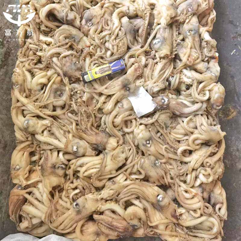 Frozen illex squid heads