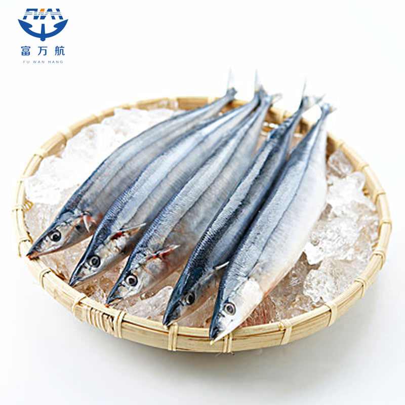frozen pacific saury fish