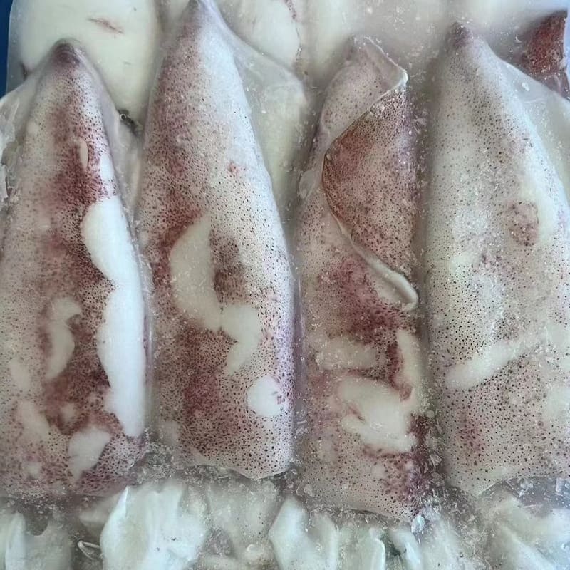 Frozen red squid