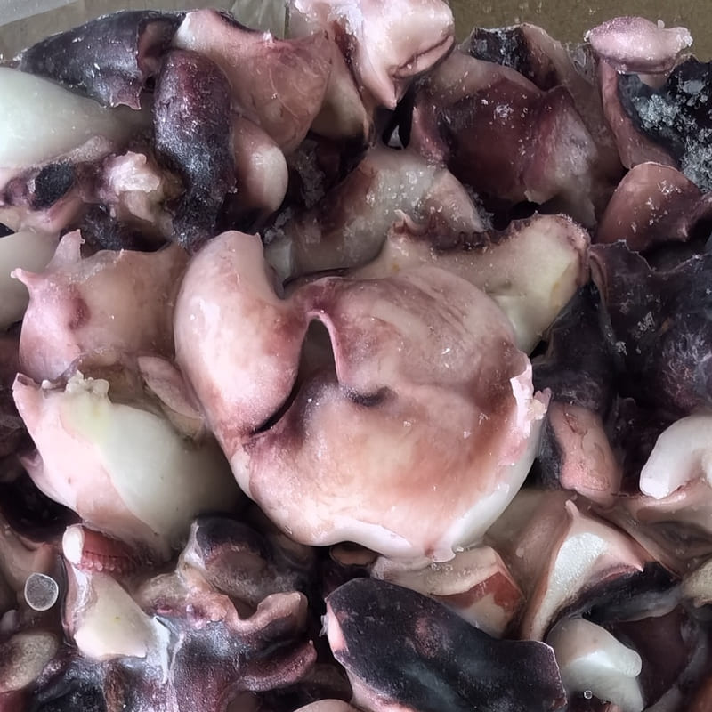 Frozen Indian squid meat