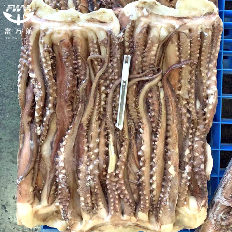 Frozen Giant squid tentacle