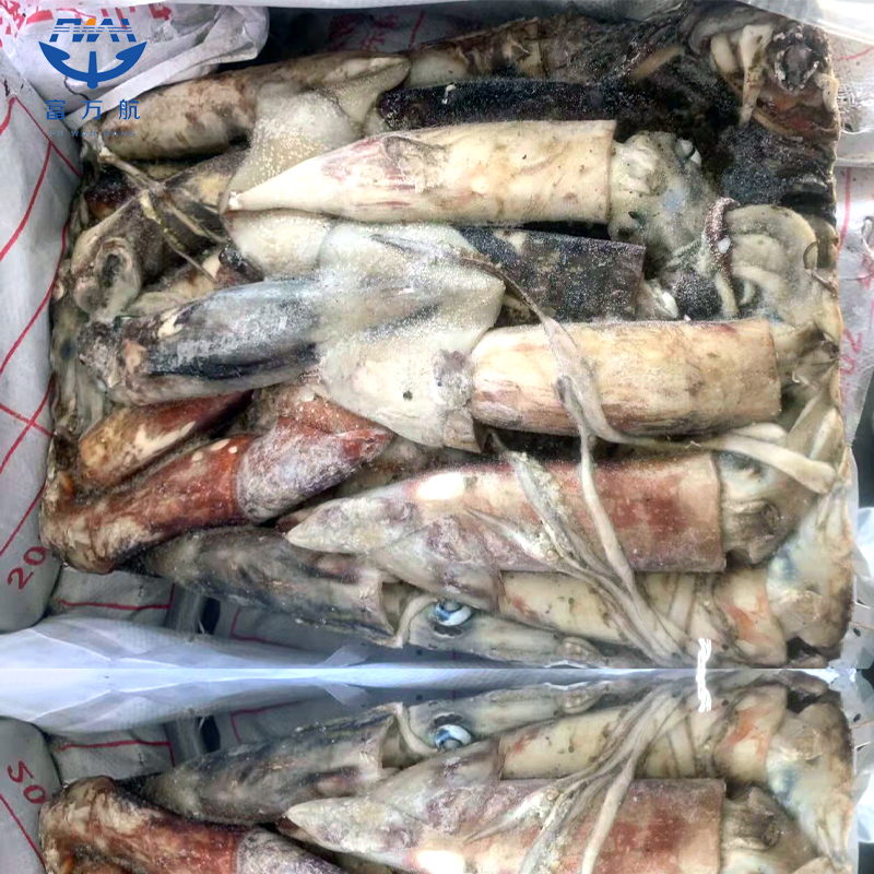 Frozen giant squid/Frozen peru squid