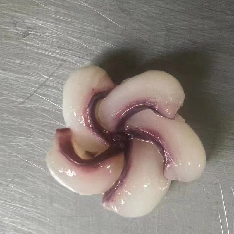 Frozen squid tentacle flower cut