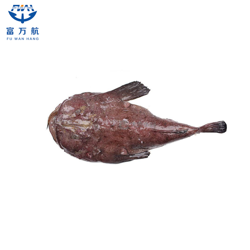 Frozen Squid Tentacle