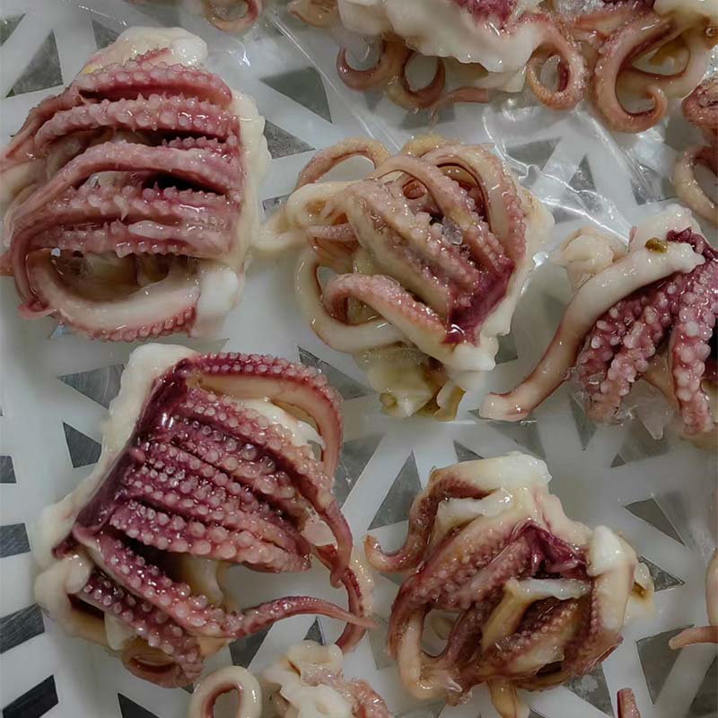 New Process Frozen Squid Cuttlefish Tentacle