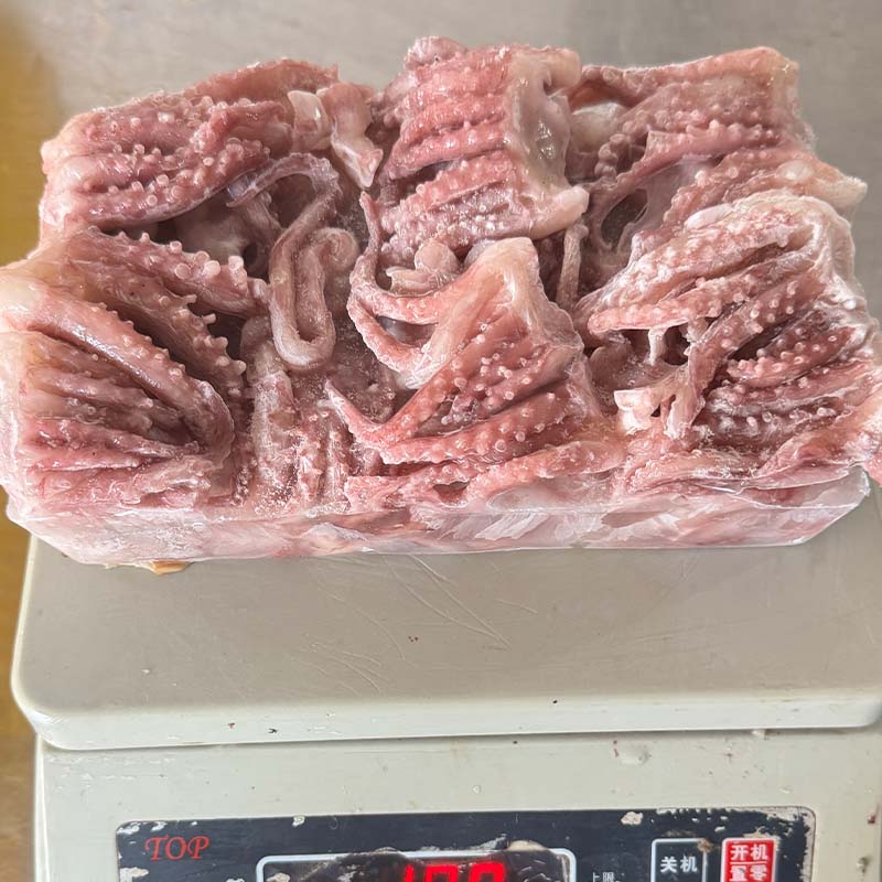 New Process Frozen Squid Cuttlefish Tentacle