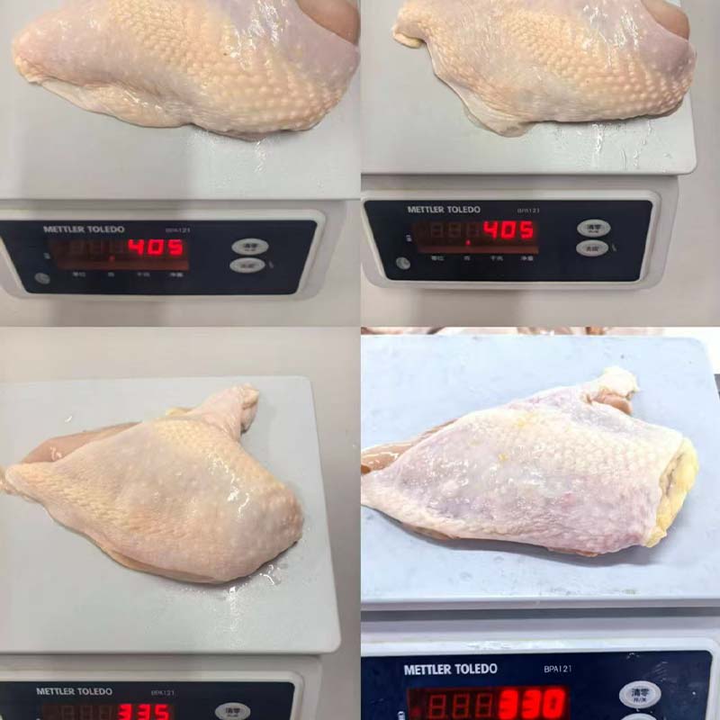 Frozen Chicken Meat