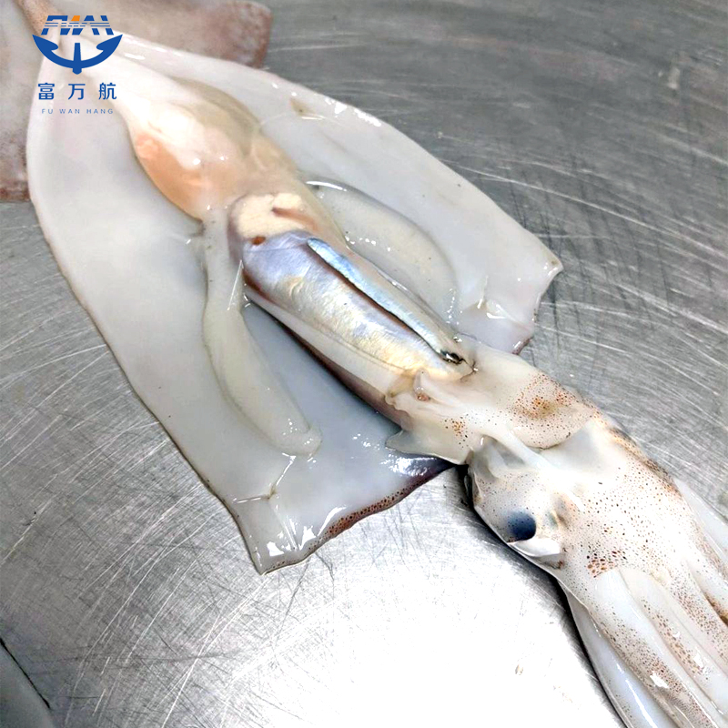 IQF illex squid fillet and head for global market