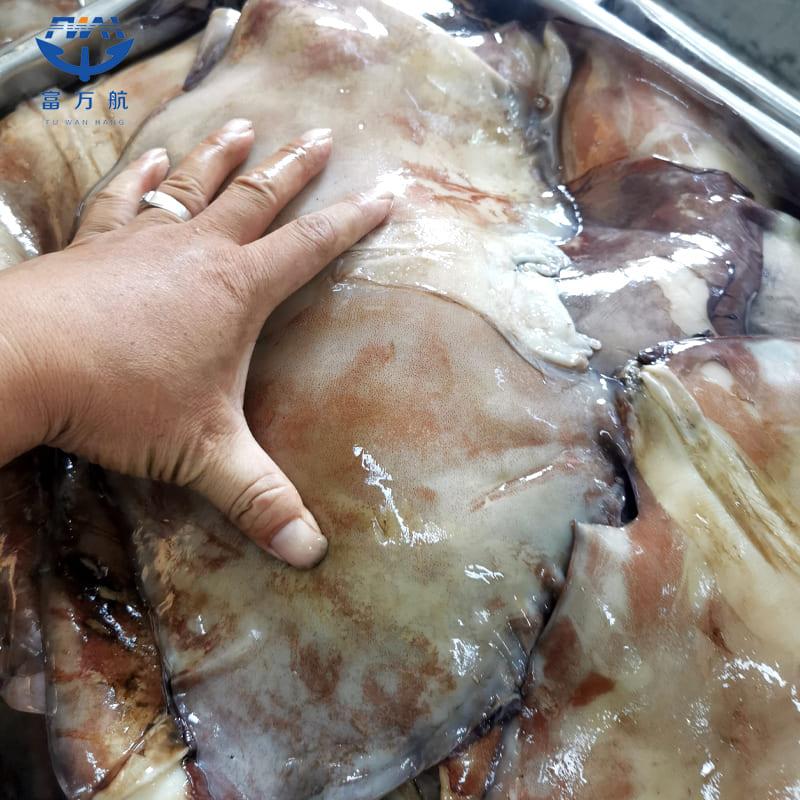 frozen seafood giant squid wing
