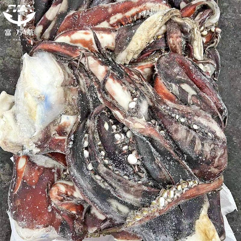 Frozen Seafood Giant Squid Tentacle Squid Head