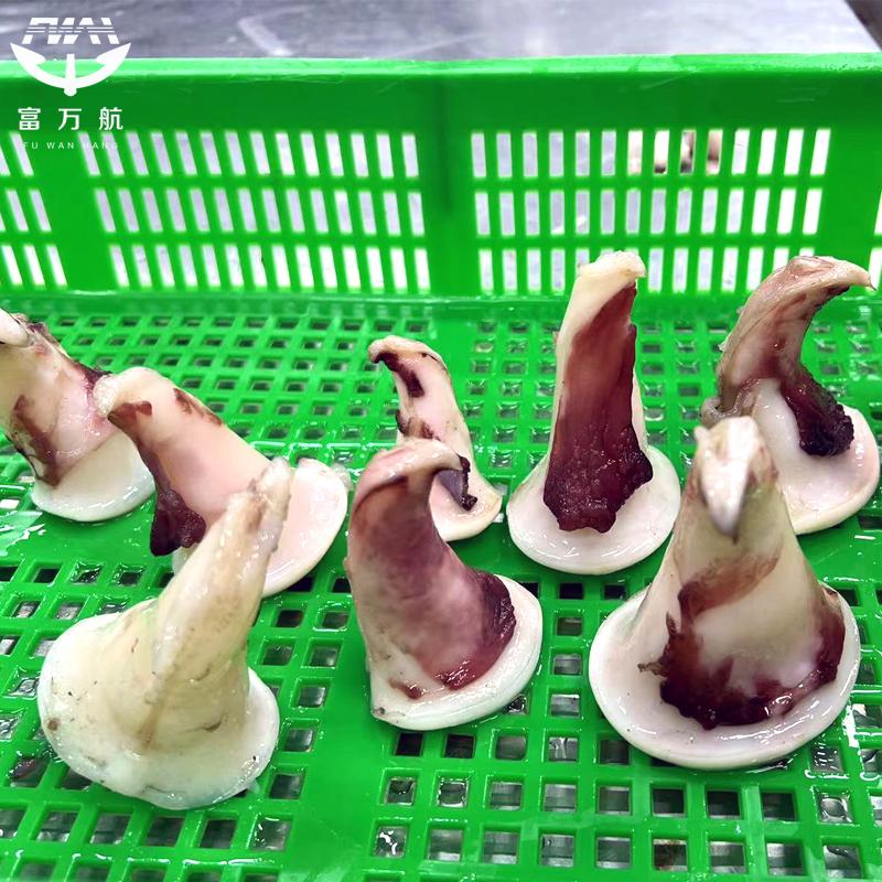 Sea Frozen Blanched Seafood Giant Peru Squid Tail