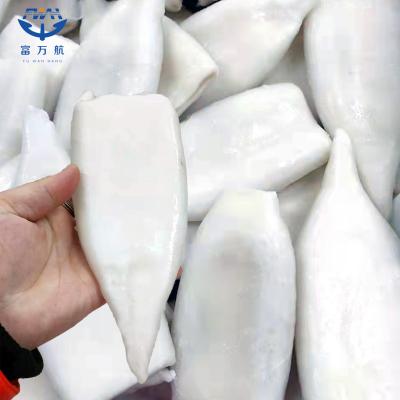 Skinless Squid Tube