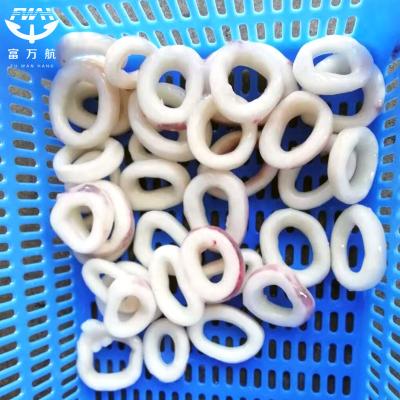 Process Frozen Seafood Indian Ocean Squid Ring