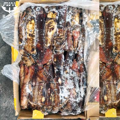 Frozen Seafood Indian Ocean Squid For Sale