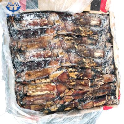 Frozen Seafood Indian Ocean Squid For Sale