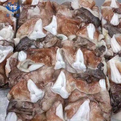 Frozen Cleaned Indian Ocean Squid Neck Seafood