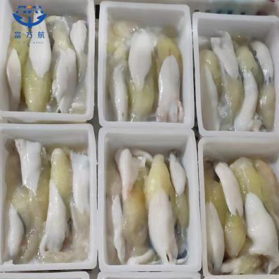 New Season fresh Seafood Frozen illex Squid Roe Frozen Calamari Egg