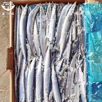 Japanese Frozen Seafood Pacific Saury Fish