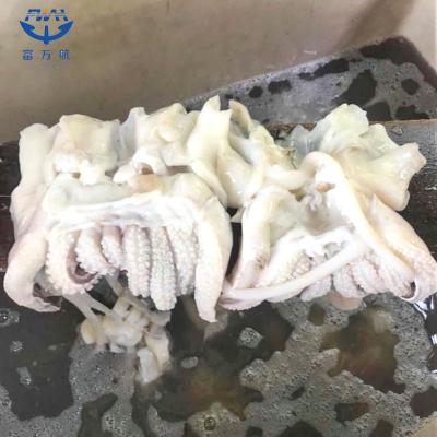  Frozen Cuttlefish Tentacle