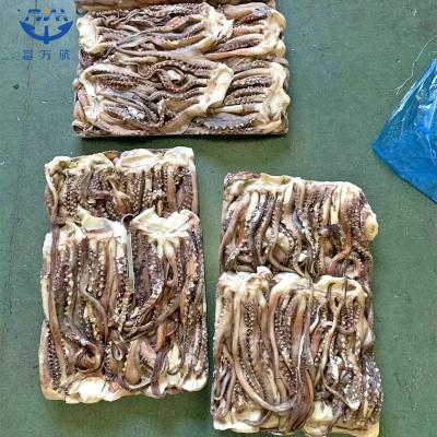 Frozen Peru Squid Tentacle