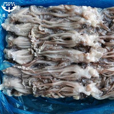 Frozen Seafood Small Size Indian Ocean Squid Head
