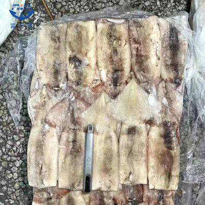 Frozen Seafood Skin on Todarodes Squid Tube