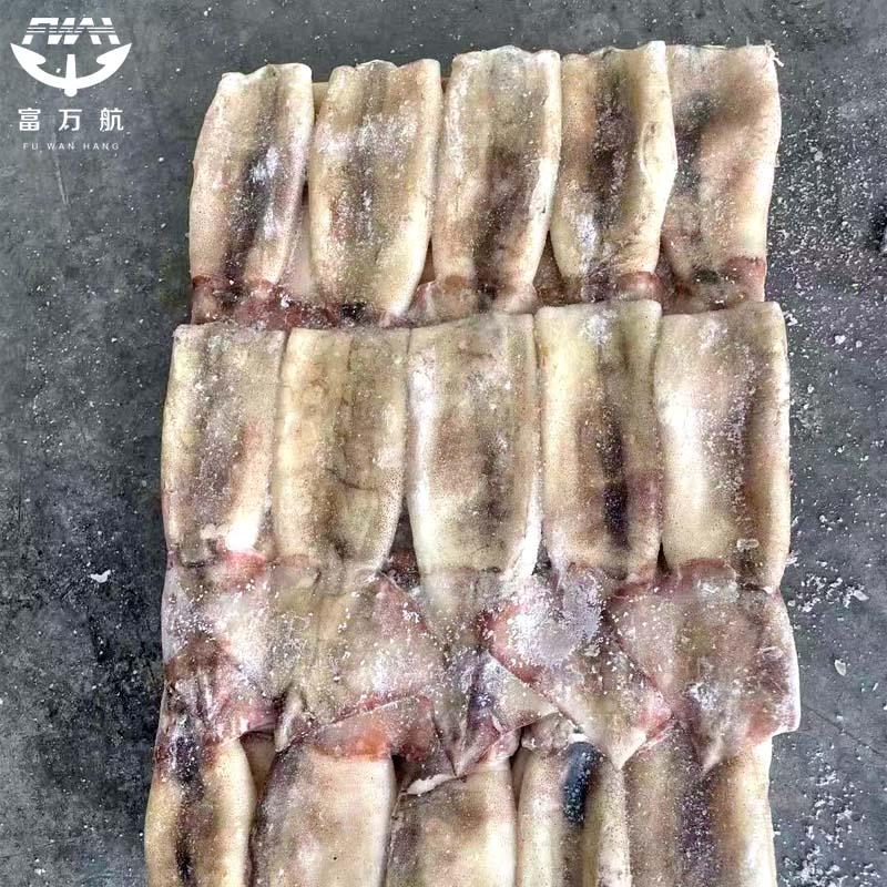 Frozen Seafood Todarodes Squid Tube