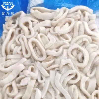 Clean BQF Calamari Fillet Frozen Giant Squid Meat