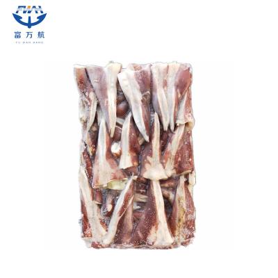 sea frozen indian ocean squid tip tail